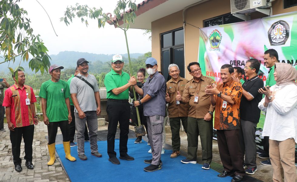 Turut Berkontribusi Menanggulangi Banjir, UNDIP Tanam 7.500 Pohon Randu di KHDTK Wanadipa Penggaron